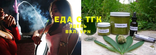 гидра Анжеро-Судженск