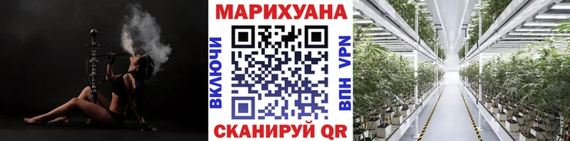 darknet телеграм  Кораблино  Каннабис сатива 